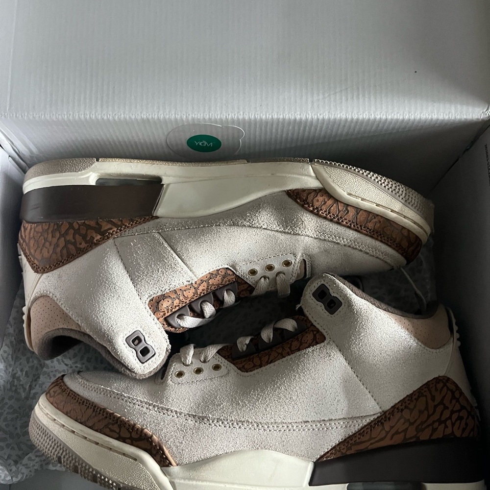 Jordan Cream and Brown Sneakers with Elephant Print